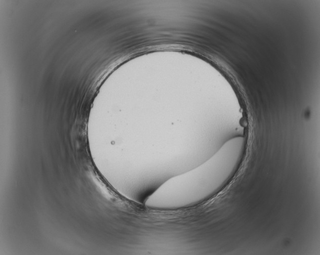 X0000115511193200912041054