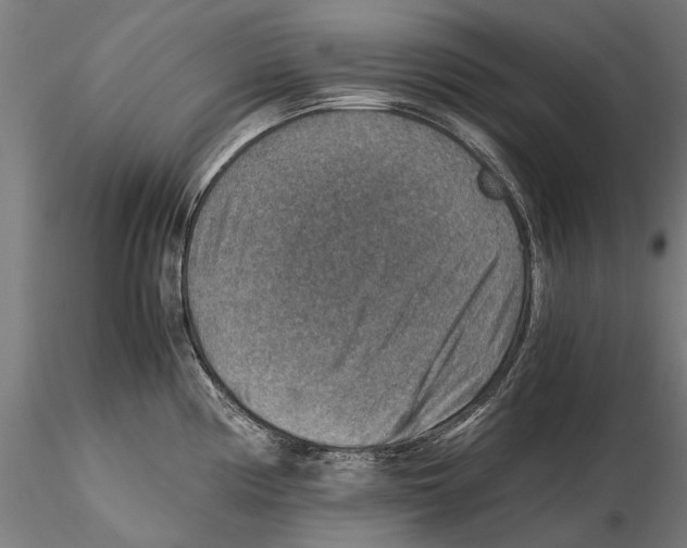 X0000115511194200912041054