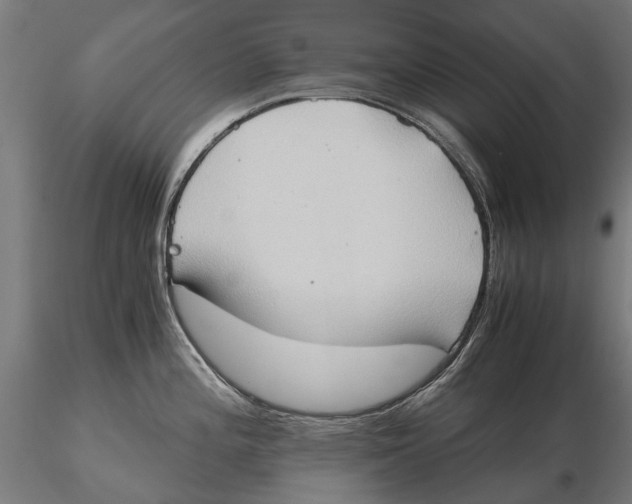 X0000115511196200912041054