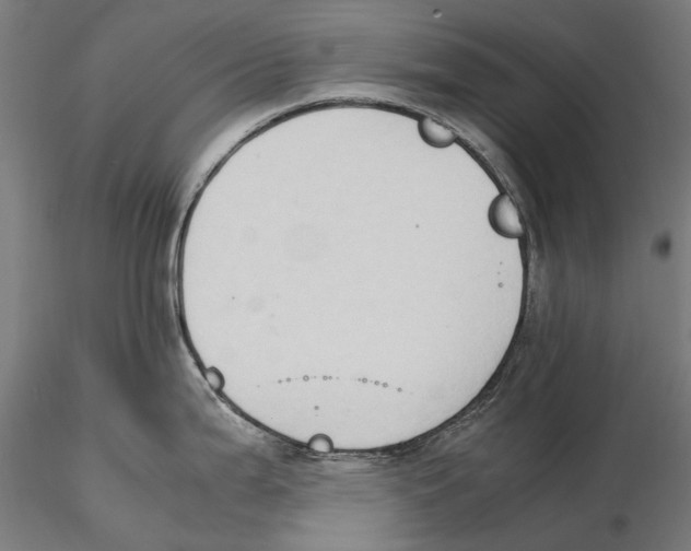 X0000115511199200912041054