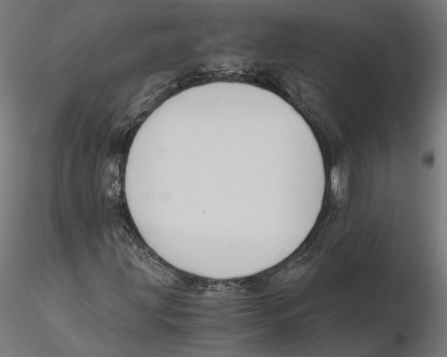 X0000115511203200912041054