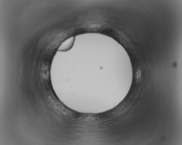 X0000115511204200912041054