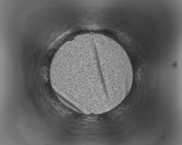 X0000115511205200912041054