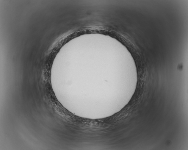 X0000115511207200912041054