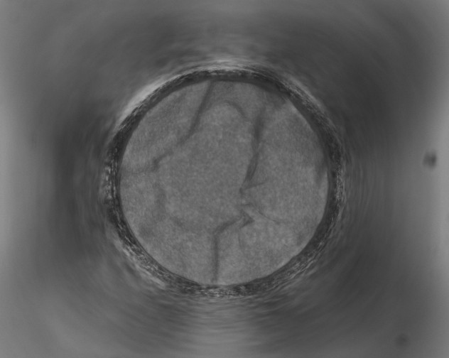 X0000115511208200912041054