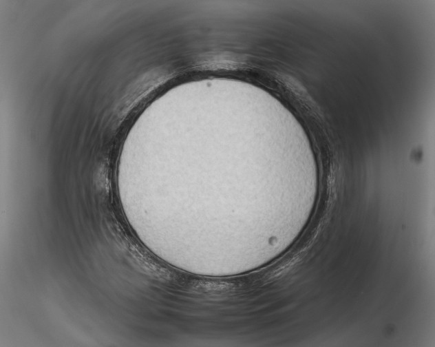 X0000115511209200912041054