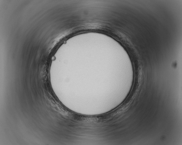 X0000115511210200912041054