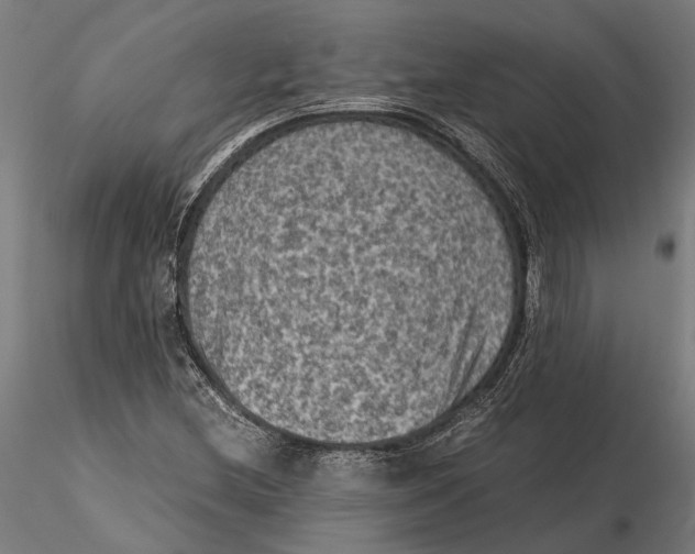 X0000115511212200912041054