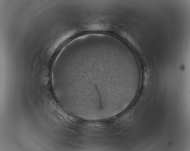 X0000115511213200912041054