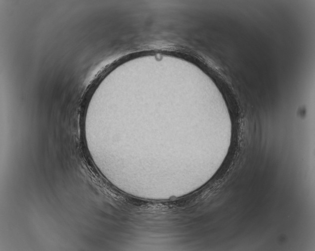 X0000115511214200912041054