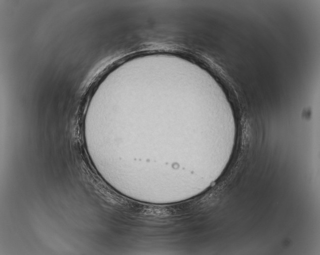 X0000115511215200912041054