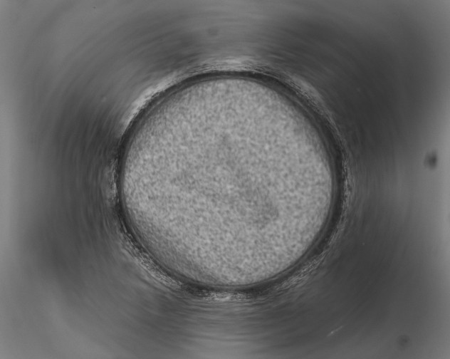 X0000115511218200912041054