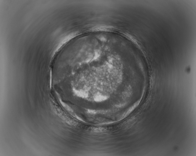 X0000115511219200912041054