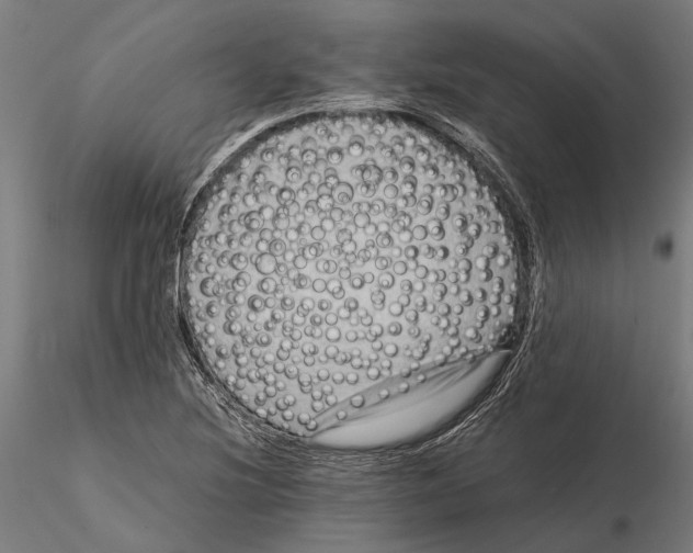 X0000115511220200912041054