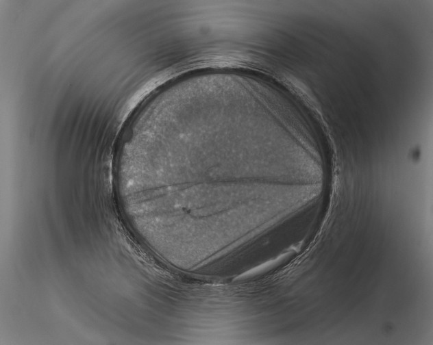 X0000115511226200912041054