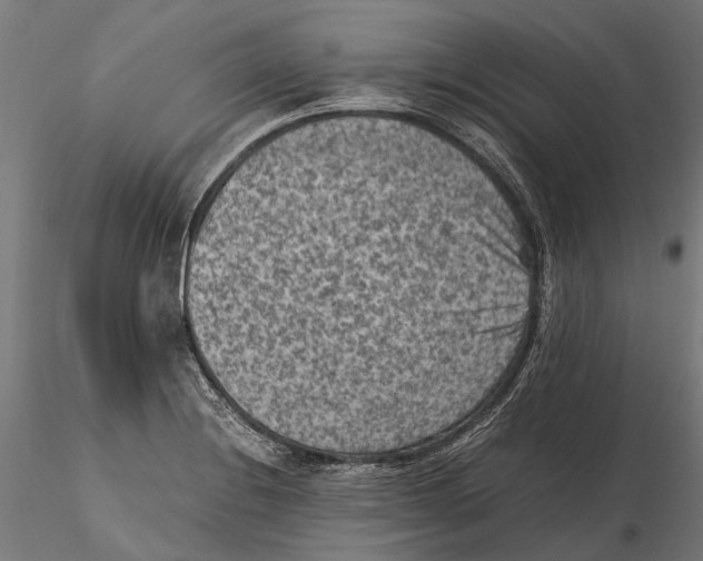 X0000115511228200912041054