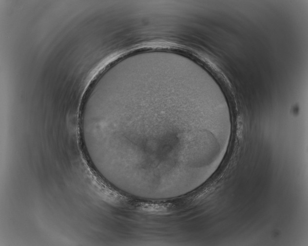 X0000115511229200912041054