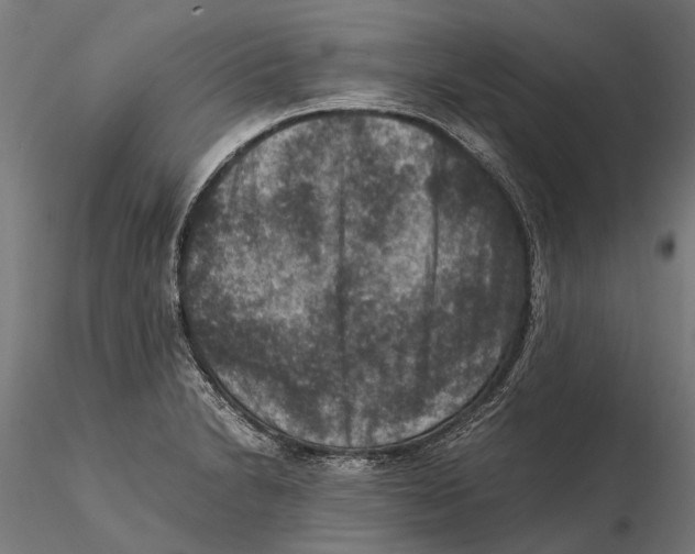 X0000115511230200912041054