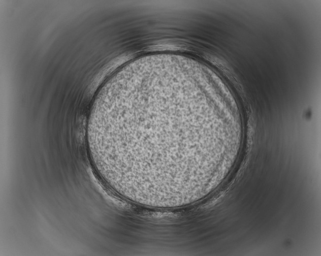 X0000115511233200912041054