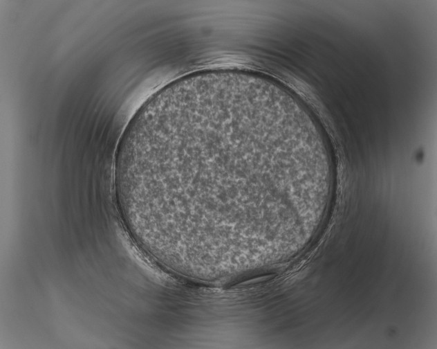 X0000115511234200912041054