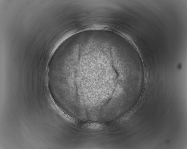 X0000115511235200912041054