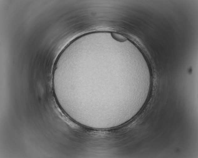 X0000115511236200912041054