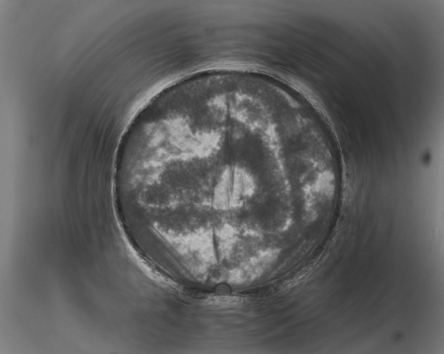 X0000115511237200912041054