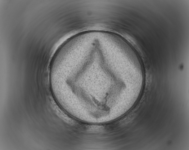 X0000115511238200912041054