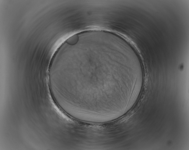 X0000115511239200912041054