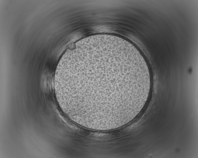 X0000115511241200912041054