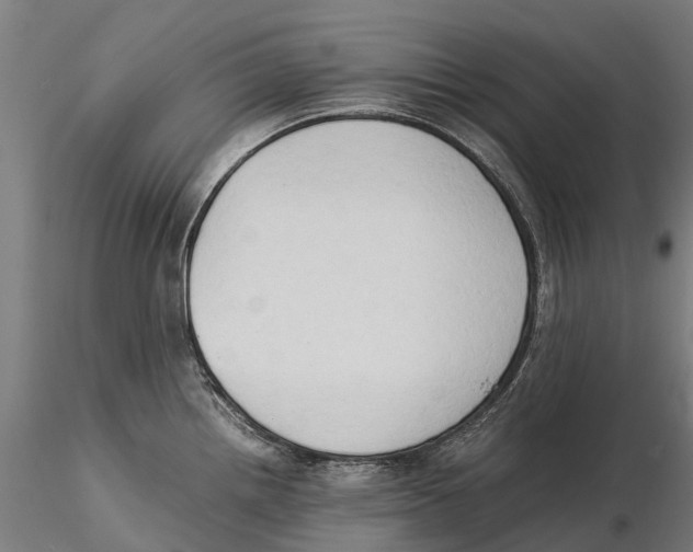 X0000115511242200912041054