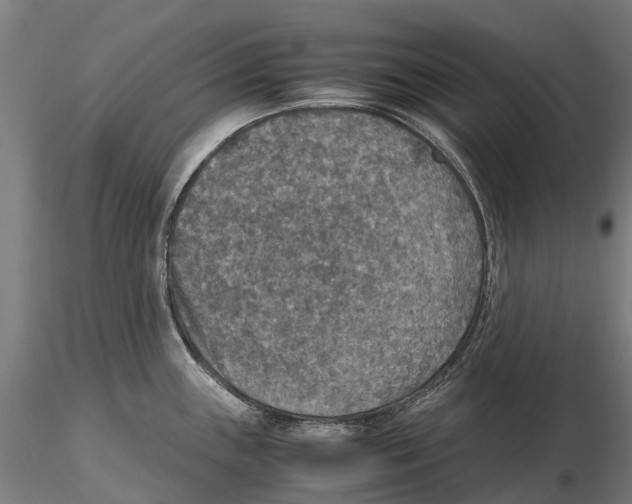 X0000115511243200912041054