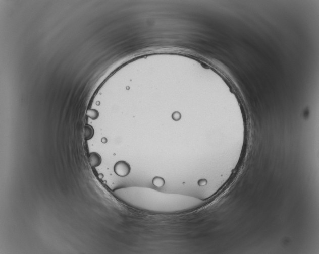 X0000115511244200912041054