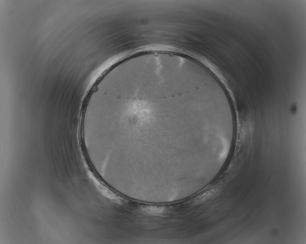 X0000115511245200912041054