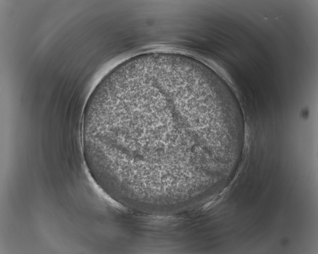 X0000115511247200912041054