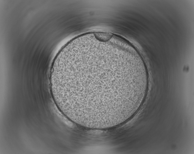 X0000115511248200912041054