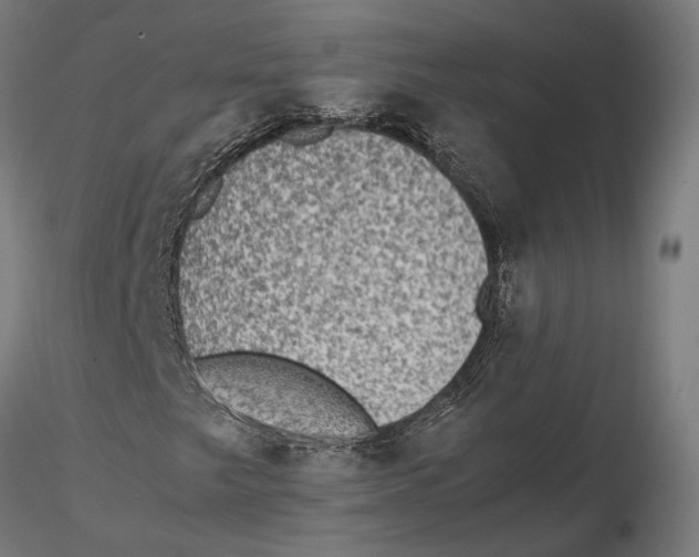 X0000115511249200912041054