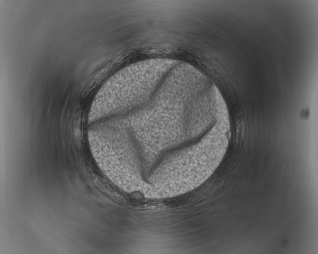 X0000115511250200912041053