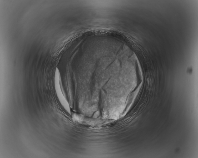 X0000115511252200912041053