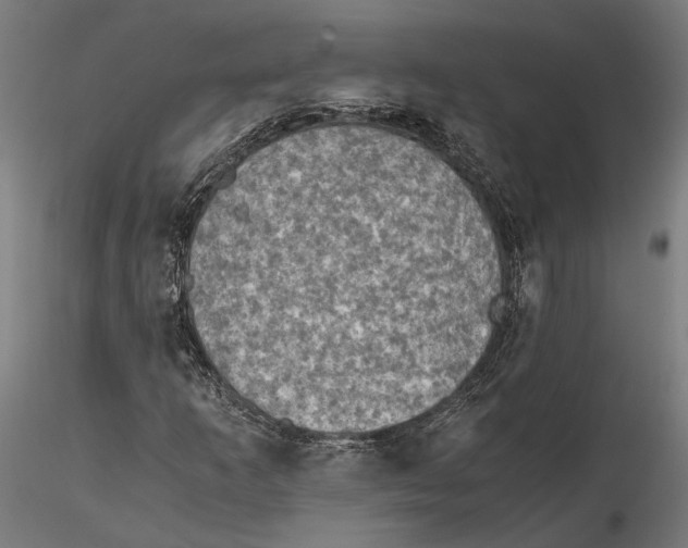 X0000115511253200912041053