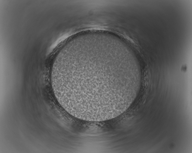 X0000115511255200912041053