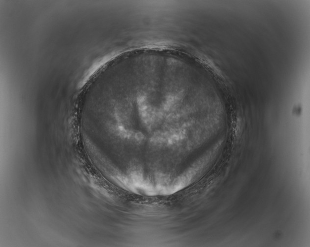 X0000115511256200912041053