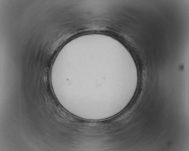 X0000115511257200912041053