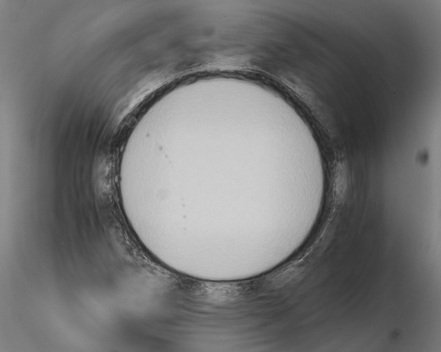 X0000115511258200912041053