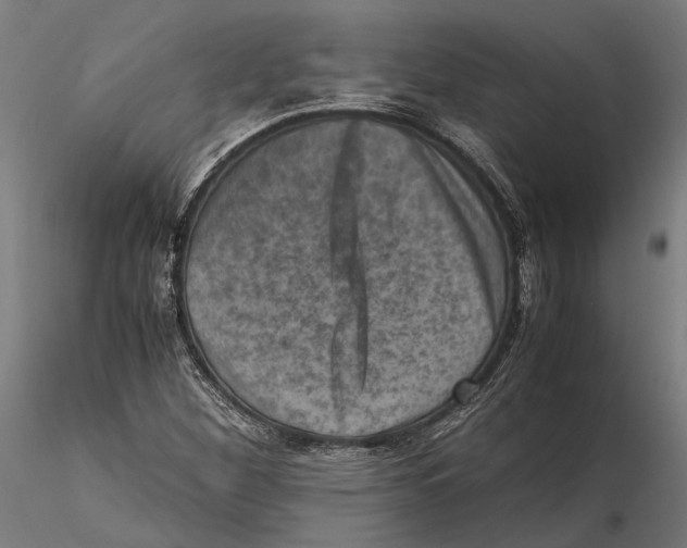 X0000115511260200912041053