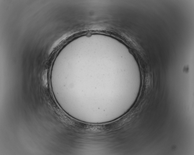 X0000115511262200912041053