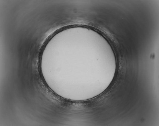 X0000115511264200912041053