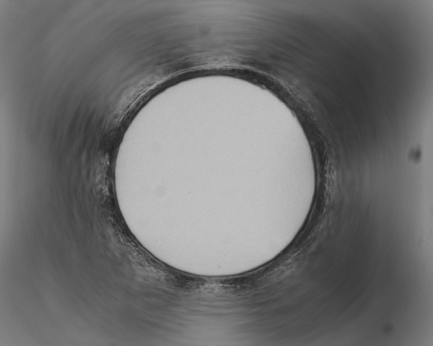 X0000115511265200912041053