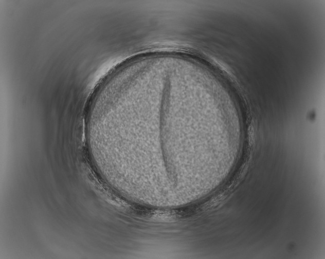 X0000115511267200912041053