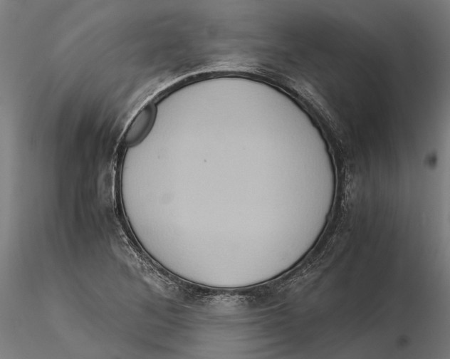 X0000115511268200912041053